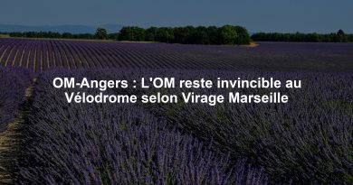 OM-Angers : L'OM reste invincible au Vélodrome selon Virage Marseille