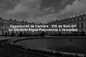 Opportunité de Carrière : IDE de Nuit H/F en Gériatrie Aiguë Polyvalente à Versailles