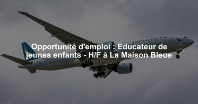 Opportunité d'emploi : Educateur de jeunes enfants - H/F à La Maison Bleue