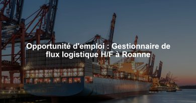Opportunité d'emploi : Gestionnaire de flux logistique H/F à Roanne