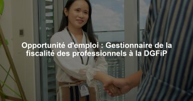 Opportunité d'emploi : Gestionnaire de la fiscalité des professionnels à la DGFiP