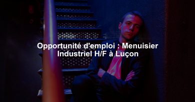 Opportunité d'emploi : Menuisier Industriel H/F à Luçon