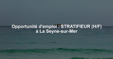 Opportunité d'emploi : STRATIFIEUR (H/F) à La Seyne-sur-Mer