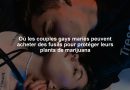 Où les couples gays mariés peuvent acheter des fusils pour protéger leurs plants de marijuana