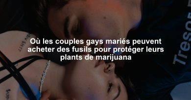 Où les couples gays mariés peuvent acheter des fusils pour protéger leurs plants de marijuana