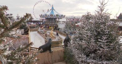Le marché de Noël du Barcarès sera finalement maintenu cette année.