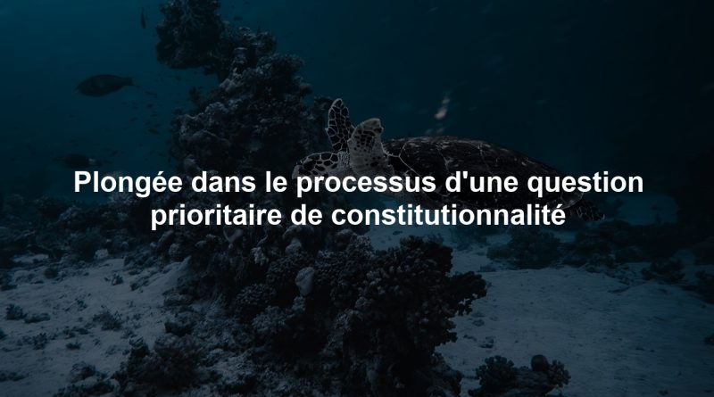 Plongée dans le processus d'une question prioritaire de constitutionnalité