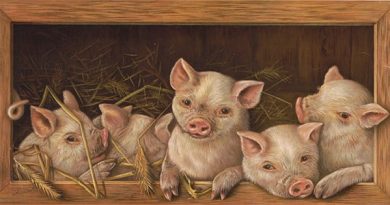 Il mérite le prix Nobel ? Les éléments factuels qui alimentent le débat