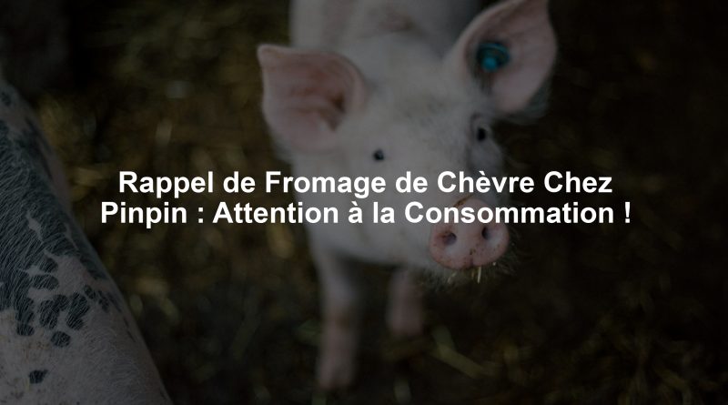 Rappel de Fromage de Chèvre Chez Pinpin : Attention à la Consommation !