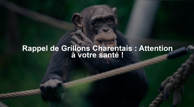 Rappel de Grillons Charentais : Attention à votre santé !
