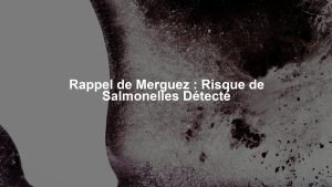 Rappel de Merguez : Risque de Salmonelles Détecté