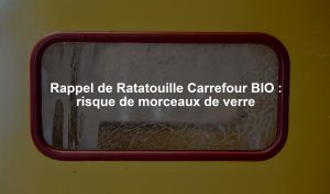 Rappel de Ratatouille Carrefour BIO : risque de morceaux de verre