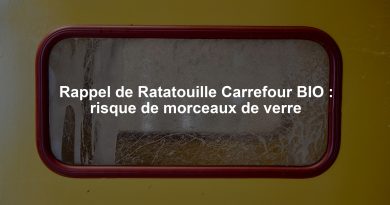 Rappel de Ratatouille Carrefour BIO : risque de morceaux de verre