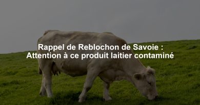 Rappel de Reblochon de Savoie : Attention à ce produit laitier contaminé