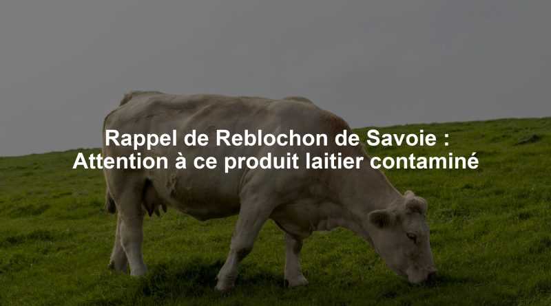 Rappel de Reblochon de Savoie : Attention à ce produit laitier contaminé