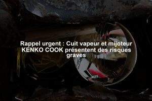 Rappel urgent : Cuit vapeur et mijoteur KENKO COOK présentent des risques graves