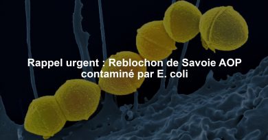 Rappel urgent : Reblochon de Savoie AOP contaminé par E. coli