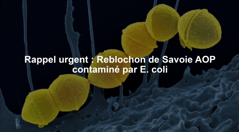 Rappel urgent : Reblochon de Savoie AOP contaminé par E. coli