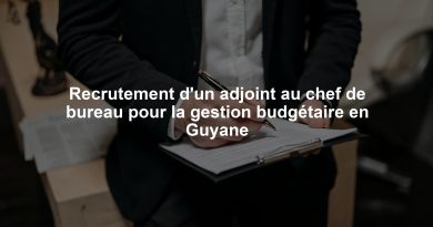Recrutement d'un adjoint au chef de bureau pour la gestion budgétaire en Guyane