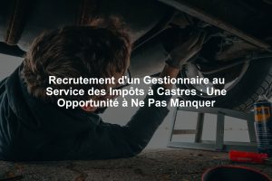 Recrutement d'un Gestionnaire au Service des Impôts à Castres : Une Opportunité à Ne Pas Manquer
