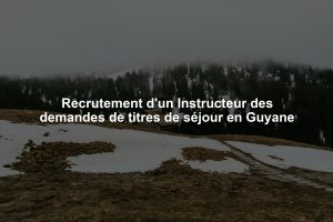 Recrutement d'un Instructeur des demandes de titres de séjour en Guyane