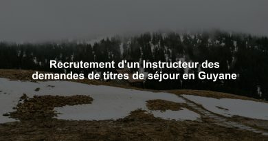 Recrutement d'un Instructeur des demandes de titres de séjour en Guyane