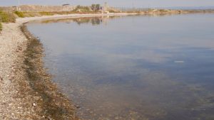 Protection des zoostères et nettoyage : la nature reprend ses droits à la Pointe de Berre