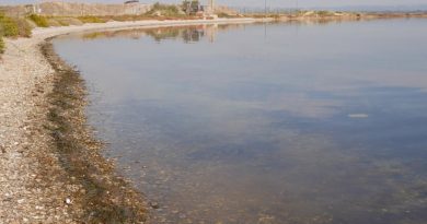 Protection des zoostères et nettoyage : la nature reprend ses droits à la Pointe de Berre
