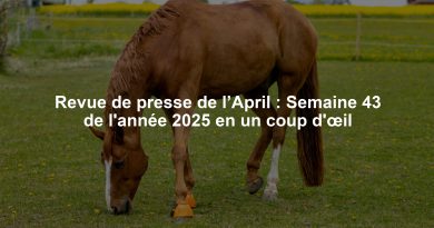 Revue de presse de l’April : Semaine 43 de l'année 2025 en un coup d'œil