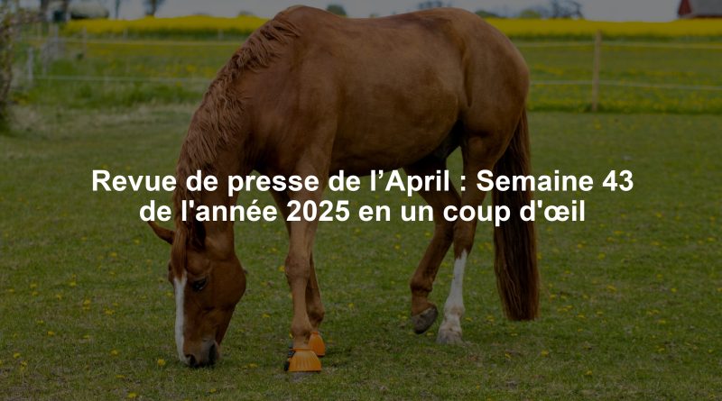 Revue de presse de l’April : Semaine 43 de l'année 2025 en un coup d'œil
