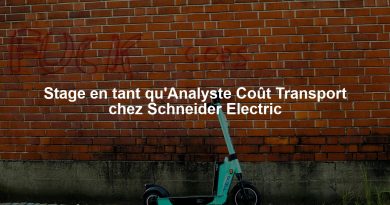 Stage en tant qu'Analyste Coût Transport chez Schneider Electric