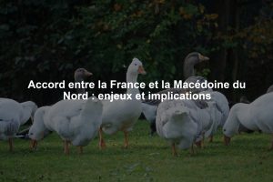 Accord entre la France et la Macédoine du Nord : enjeux et implications