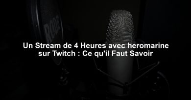Un Stream de 4 Heures avec heromarine sur Twitch : Ce qu'il Faut Savoir