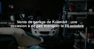 Vente de garage de Koumbit : une occasion à ne pas manquer le 25 octobre