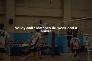 Volley-ball : Matches du week-end à suivre