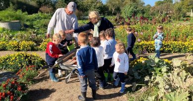 Un jardin partagé pour reconnecter les enfants des villes avec le vivant et les légumes