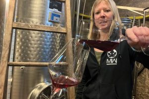 Vendanges : L'AOC Moselle enregistre une récolte record après trois ans de baisse