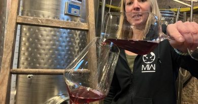 Vendanges : L'AOC Moselle enregistre une récolte record après trois ans de baisse