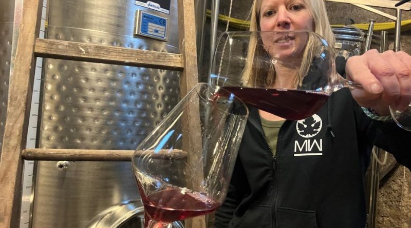 Vendanges : L'AOC Moselle enregistre une récolte record après trois ans de baisse