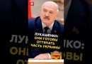 Лукашенко: Они готовы оттяпать часть Украины! #лукашенко #зеленский #украина #россия #новости #сво