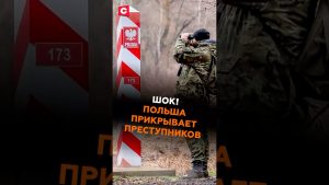 ШОК! Польша прикрывает преступников #польша #новости #политика #мигранты #беженцы #граница