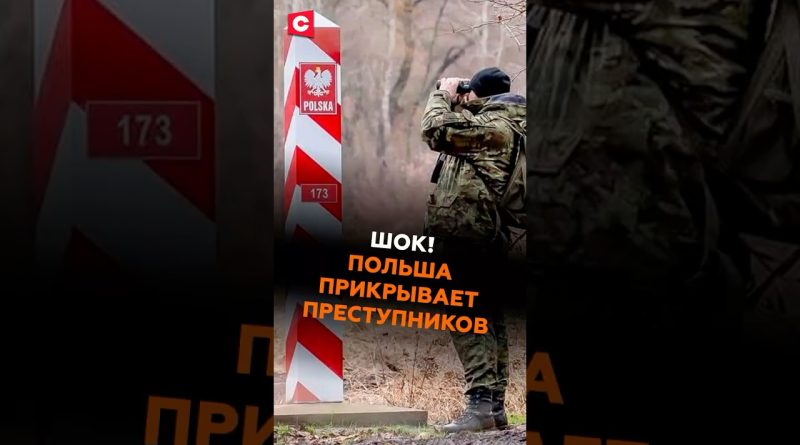 ШОК! Польша прикрывает преступников #польша #новости #политика #мигранты #беженцы #граница