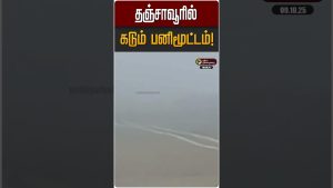 தஞ்சாவூரில் கடும் பனிமூட்டம்! | Tanjore