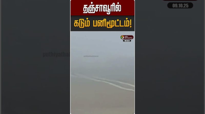 தஞ்சாவூரில் கடும் பனிமூட்டம்! | Tanjore