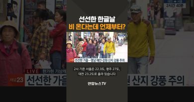 선선한 한글날…비 온다는데 언제부터? / 연합뉴스TV(YonhapnewsTV) #연합뉴스tv #생중계 #속보 #한글날 #날씨 #비예보