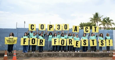 Avant la COP30, le Brésil annonce une réduction de ses émissions de CO2