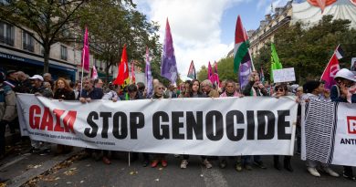 Marche nationale du 29 novembre : solidarité avec la Palestine en action
