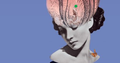 Santé mentale : analyse des déterminants pour une action efficace - Dossier La Santé en action n°471