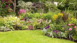 Créer un parterre vivant et équilibré : conseils pratiques et secrets révélés