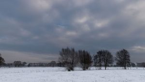 Neige et pluies verglaçantes : la Belgique confrontée à un temps hivernal